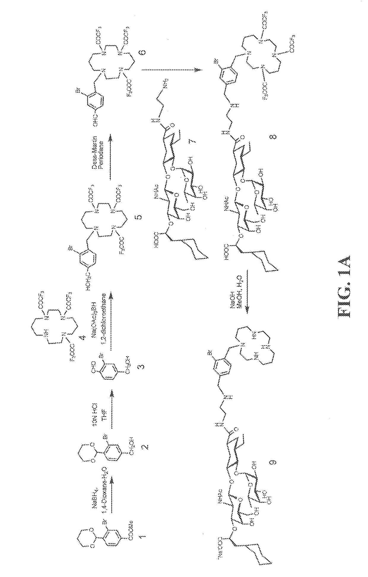 Heterobifunctional inhibitors of e-selectins and cxcr4 chemokine receptors