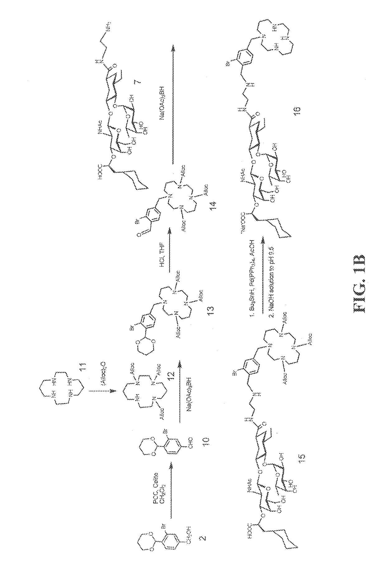 Heterobifunctional inhibitors of e-selectins and cxcr4 chemokine receptors