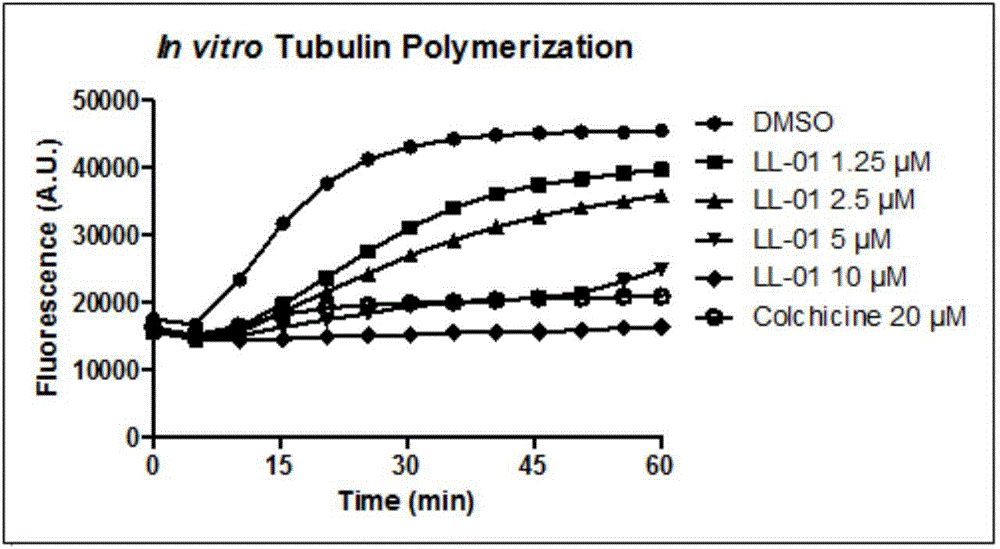 Indeno pyrazole micromolecular tubulin inhibitor and preparation method and application thereof