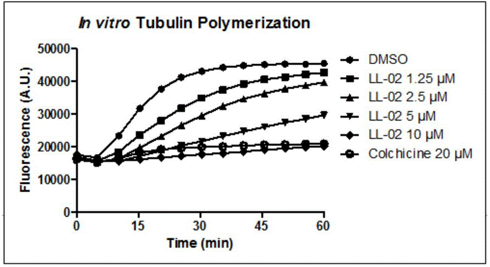 Indeno pyrazole micromolecular tubulin inhibitor and preparation method and application thereof