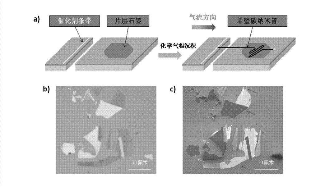 Single-walled carbon nanotube array with chiral selective orientation and method for representing chiral structure thereof