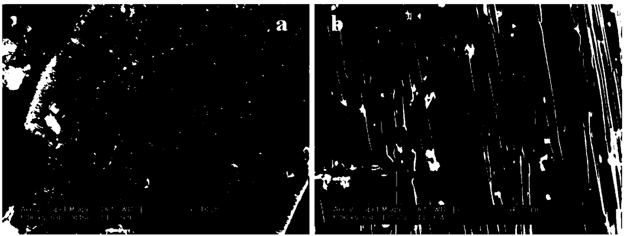 Negative electrode material, lithium ion battery and preparation method of negative electrode material