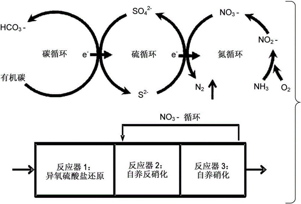 Sulphur cycle-associated denitrifying enhanced biological phosphorus removal (SD-EBPR) utilizing sulphur compounds as electron carriers for biological nutrient removal of wastewater treatment