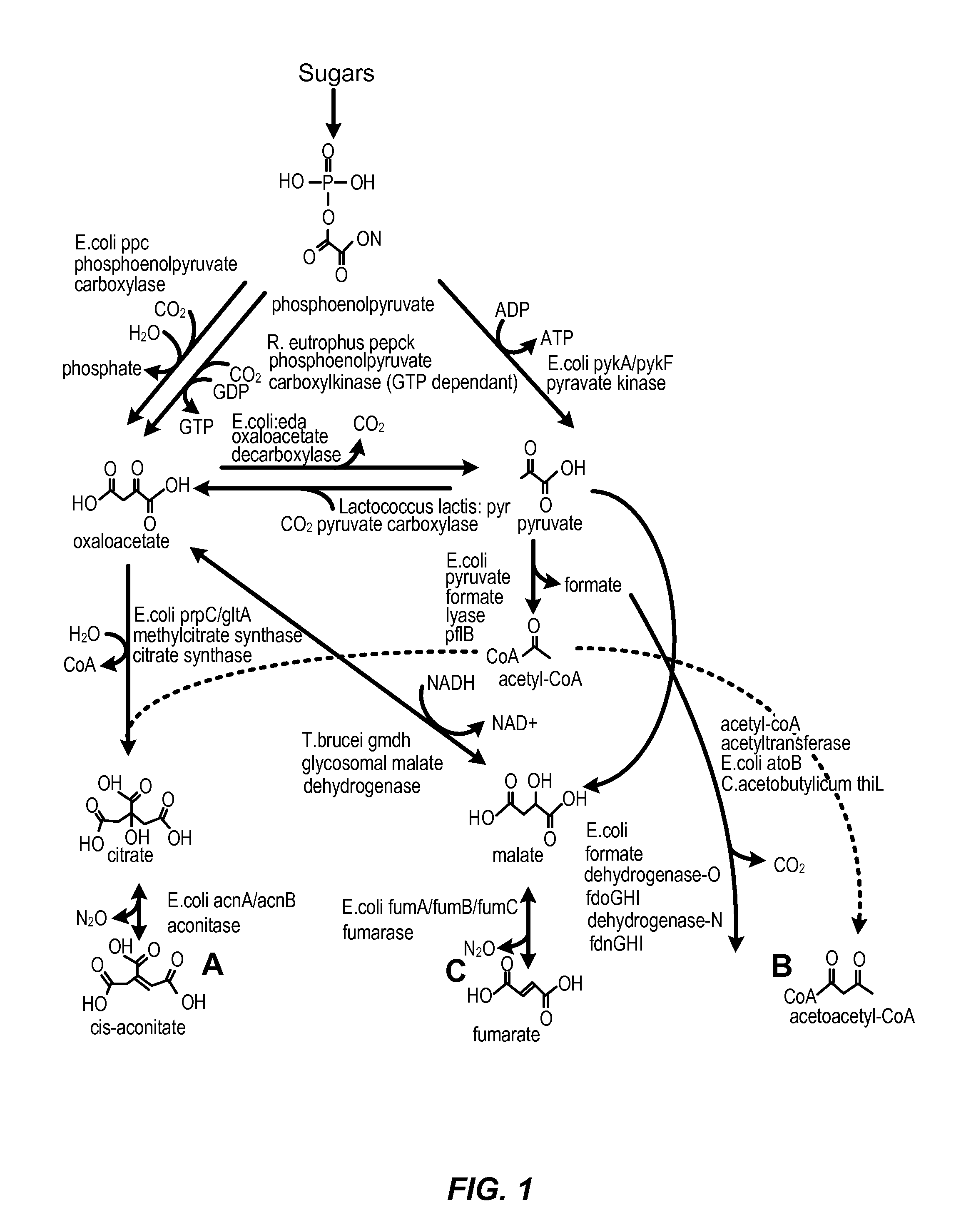 Methods, compositions and systems for biosynthetic bio-production of 1,4 butanediol