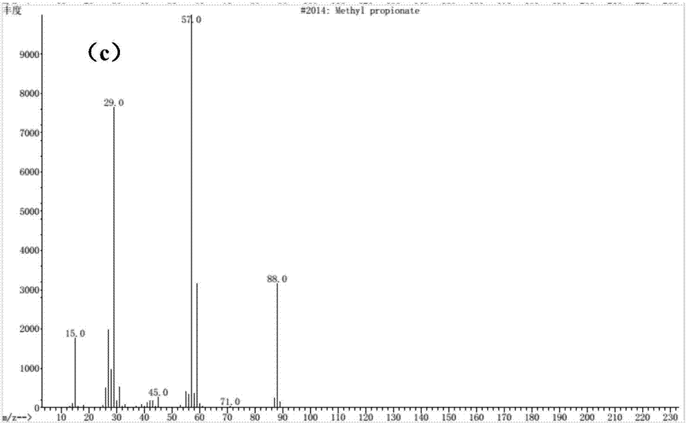 Methyl propionate preparation method