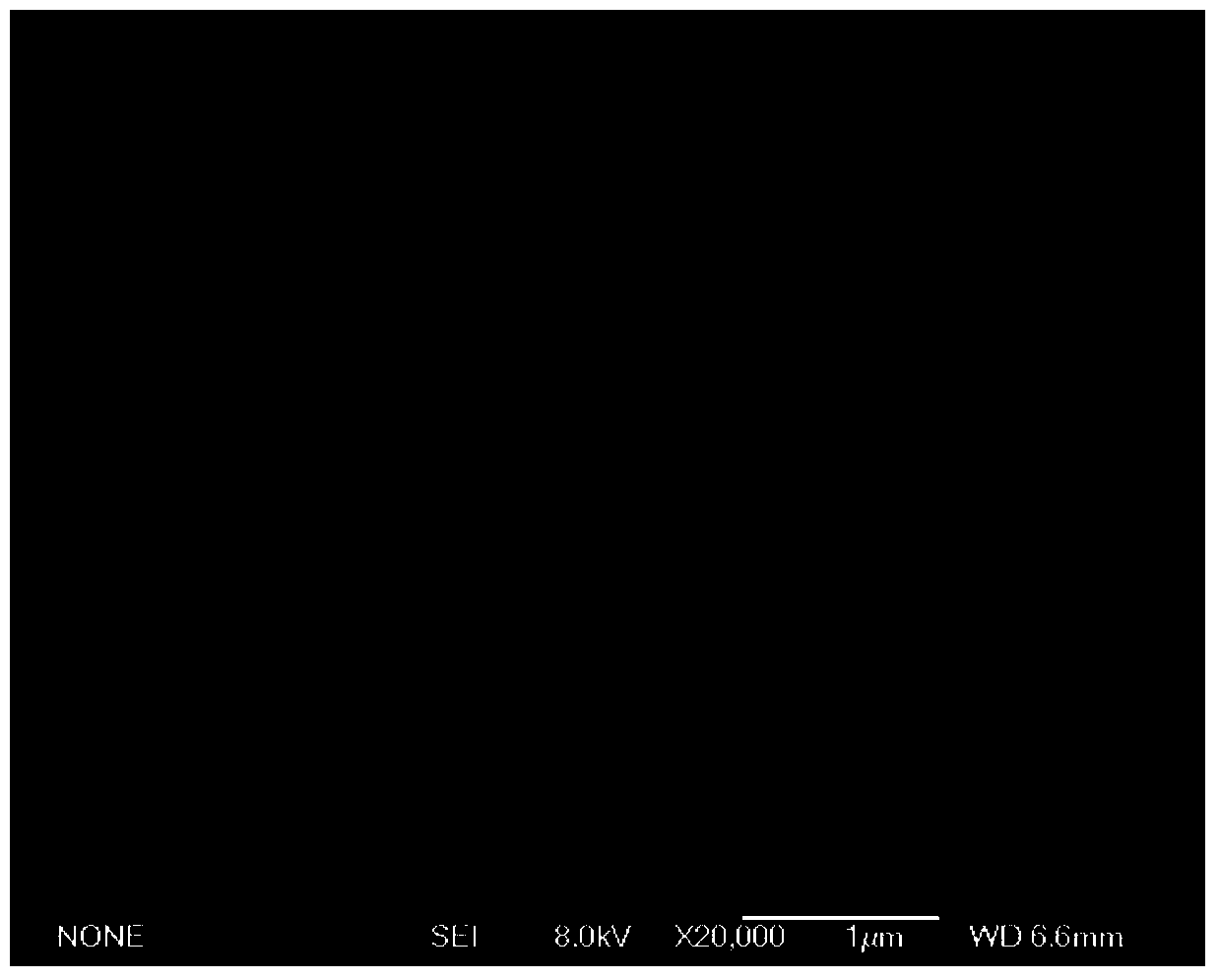 Method for manufacturing asymmetric super capacitor