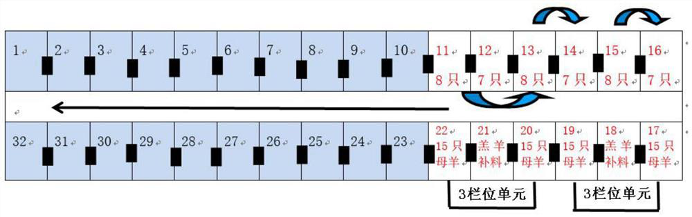 Method for transferring pregnant ewes, lactating ewes and lambs in large-scale sheep yard