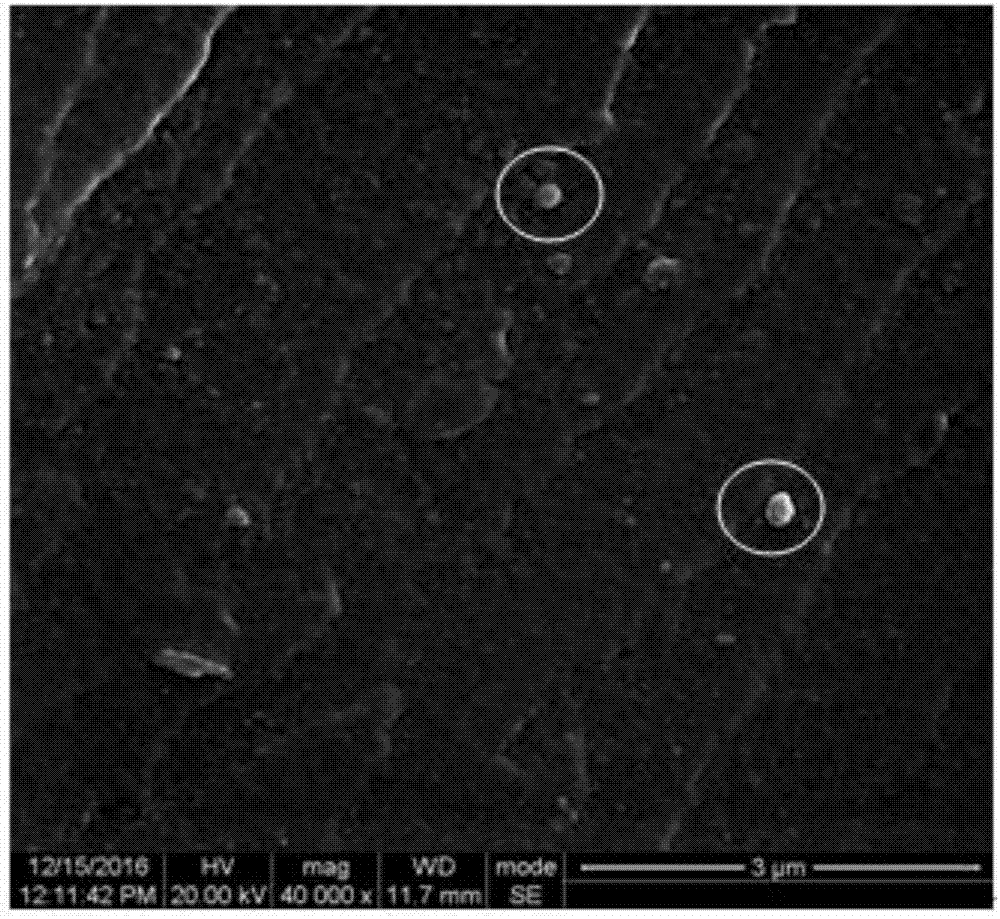 Photoresponse shape-memory self-repairing composite material and preparation method, repairing method and application thereof