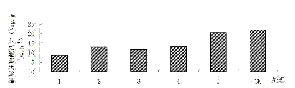 Tobacco floating growing substrate and preparation method thereof