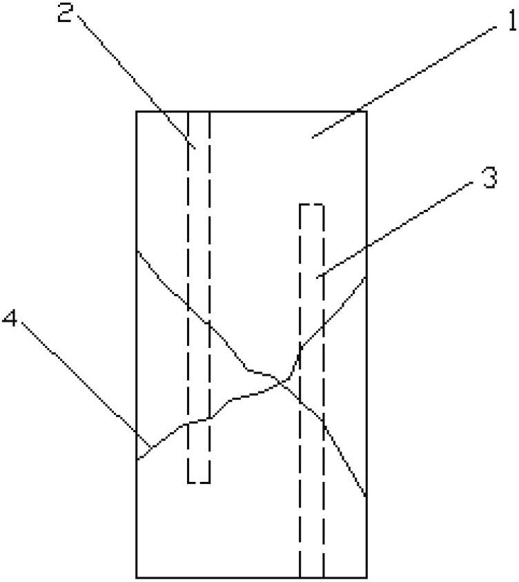 Jointed rock mass test piece and jointed rock mass and aqueous rock coupling test method