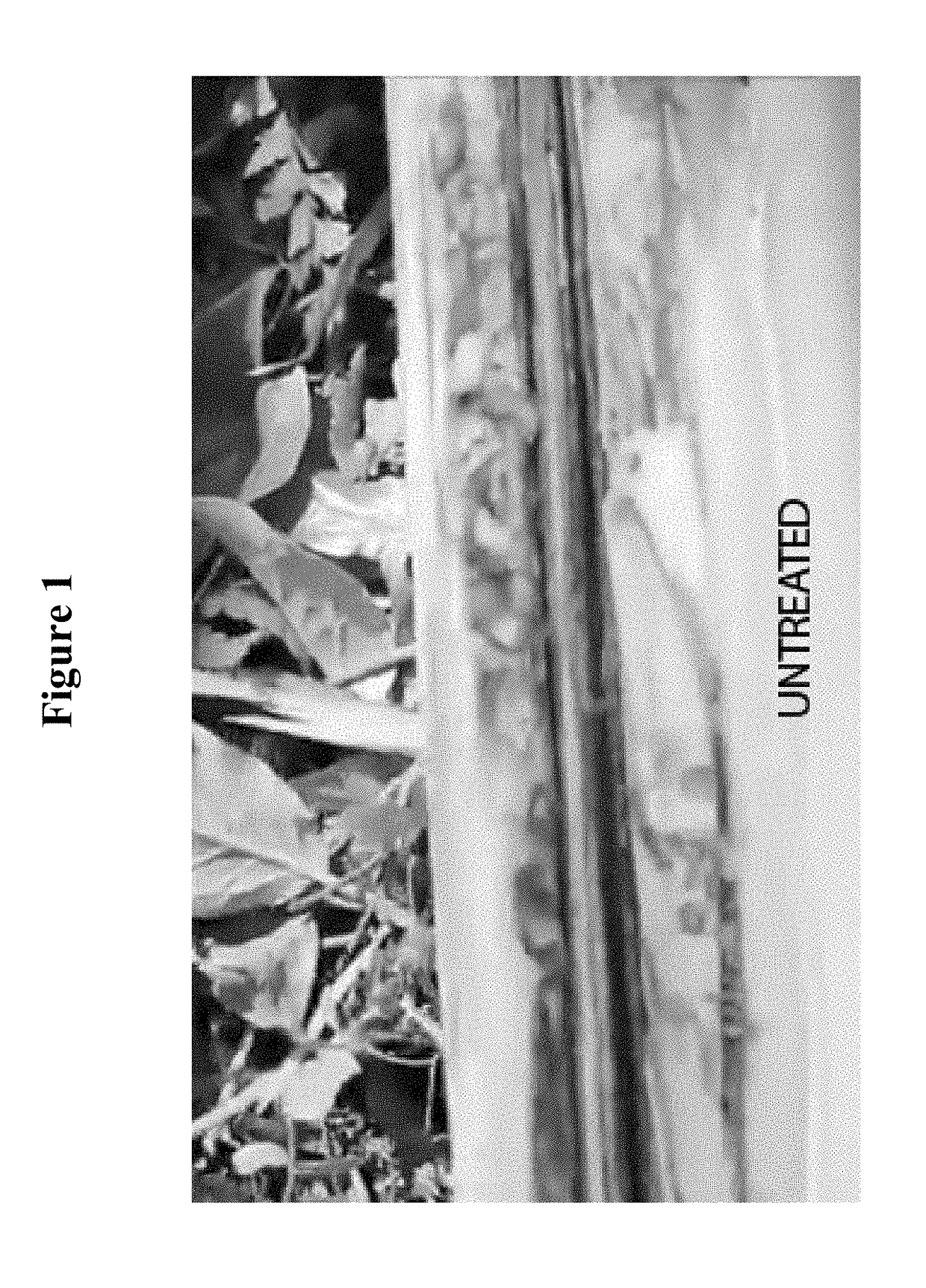 Bio-derived compositions for use in agricultural and environmental remediation