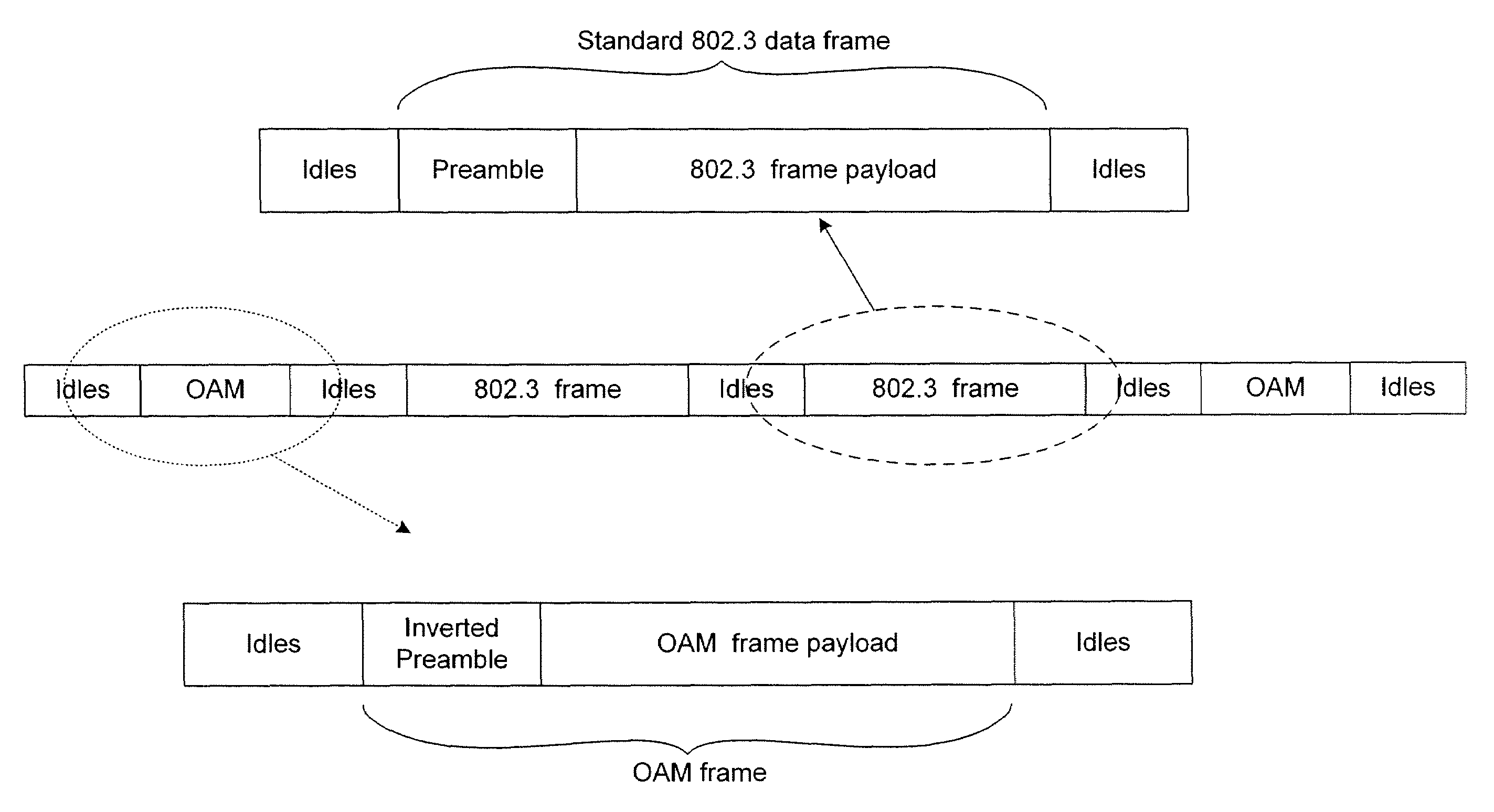 Operations, administration and maintenance (OAM) systems and methods for packet switched data networks