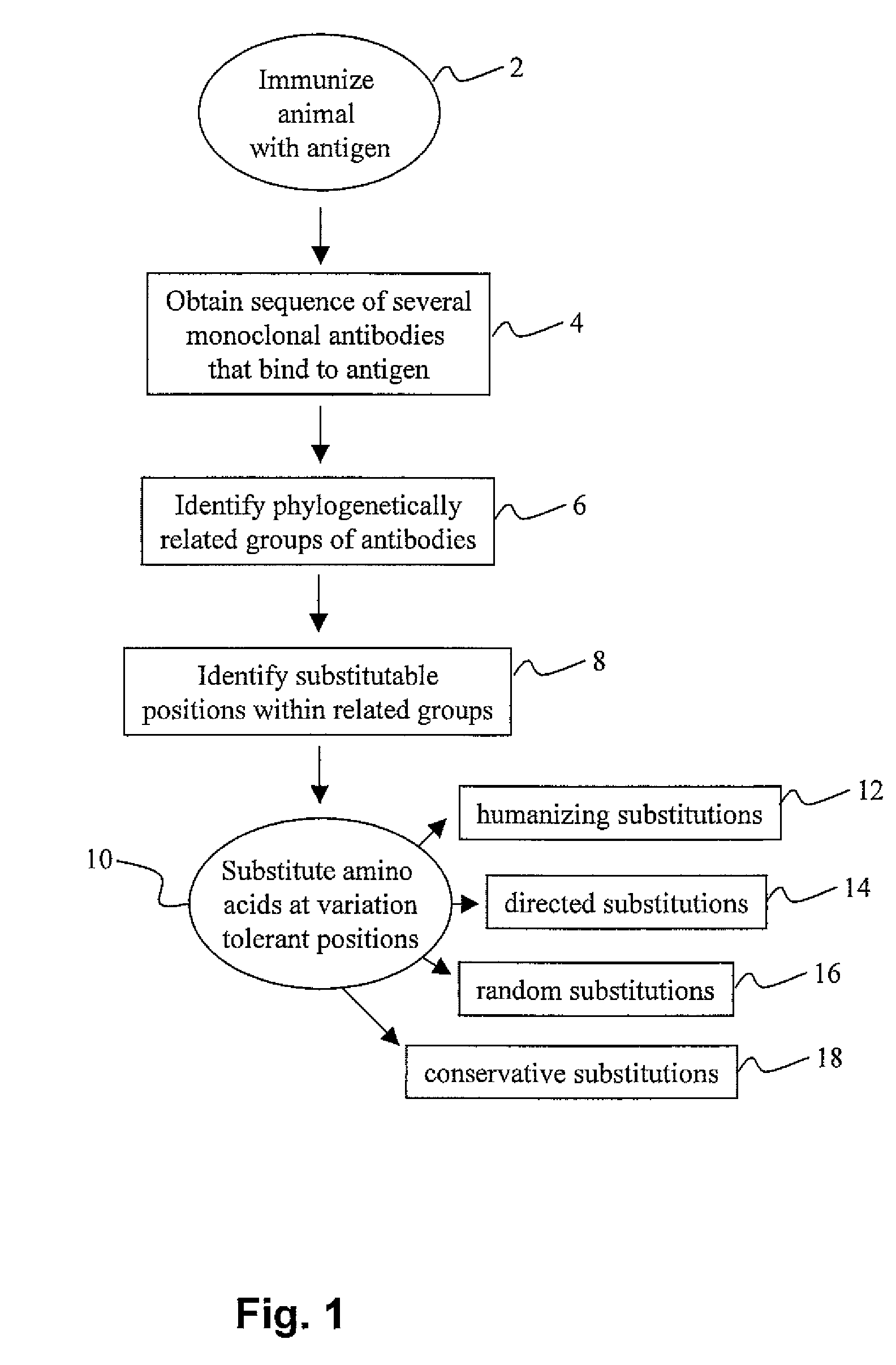 Methods for antibody engineering