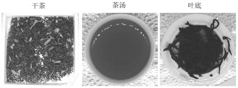 Production process of dried orange peel golden-flower strip-shaped black tea with blood sugar reducing effect