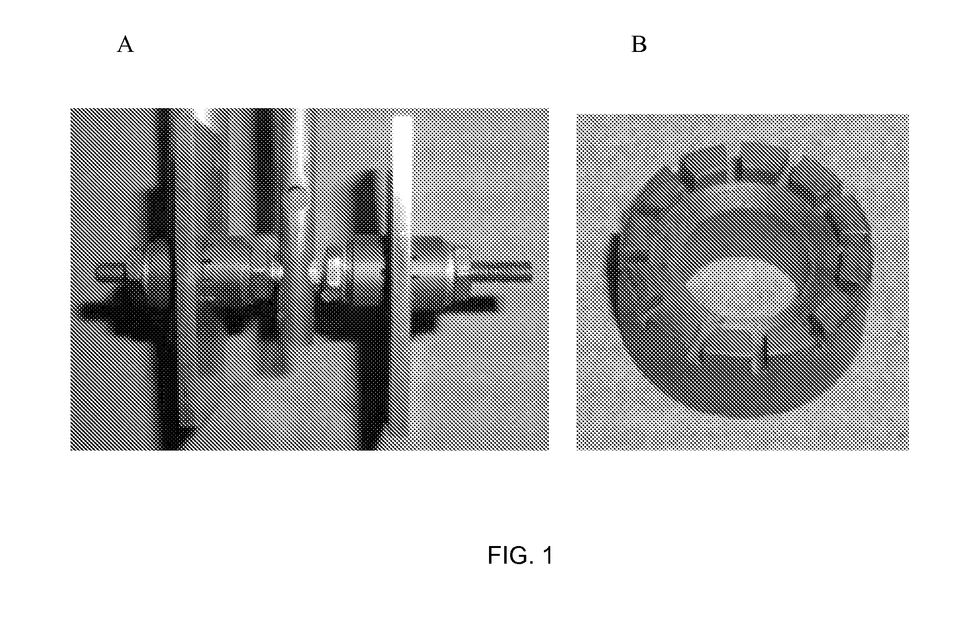 Inhibiting corrosion and scaling of surfaces contacted by sulfur-containing materials