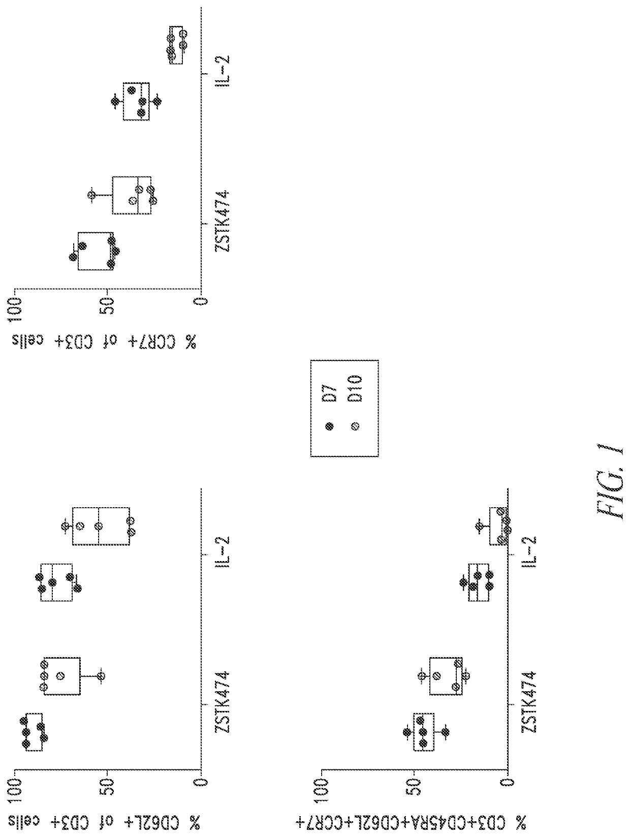 Manufacturing Anti-bcma car t cells