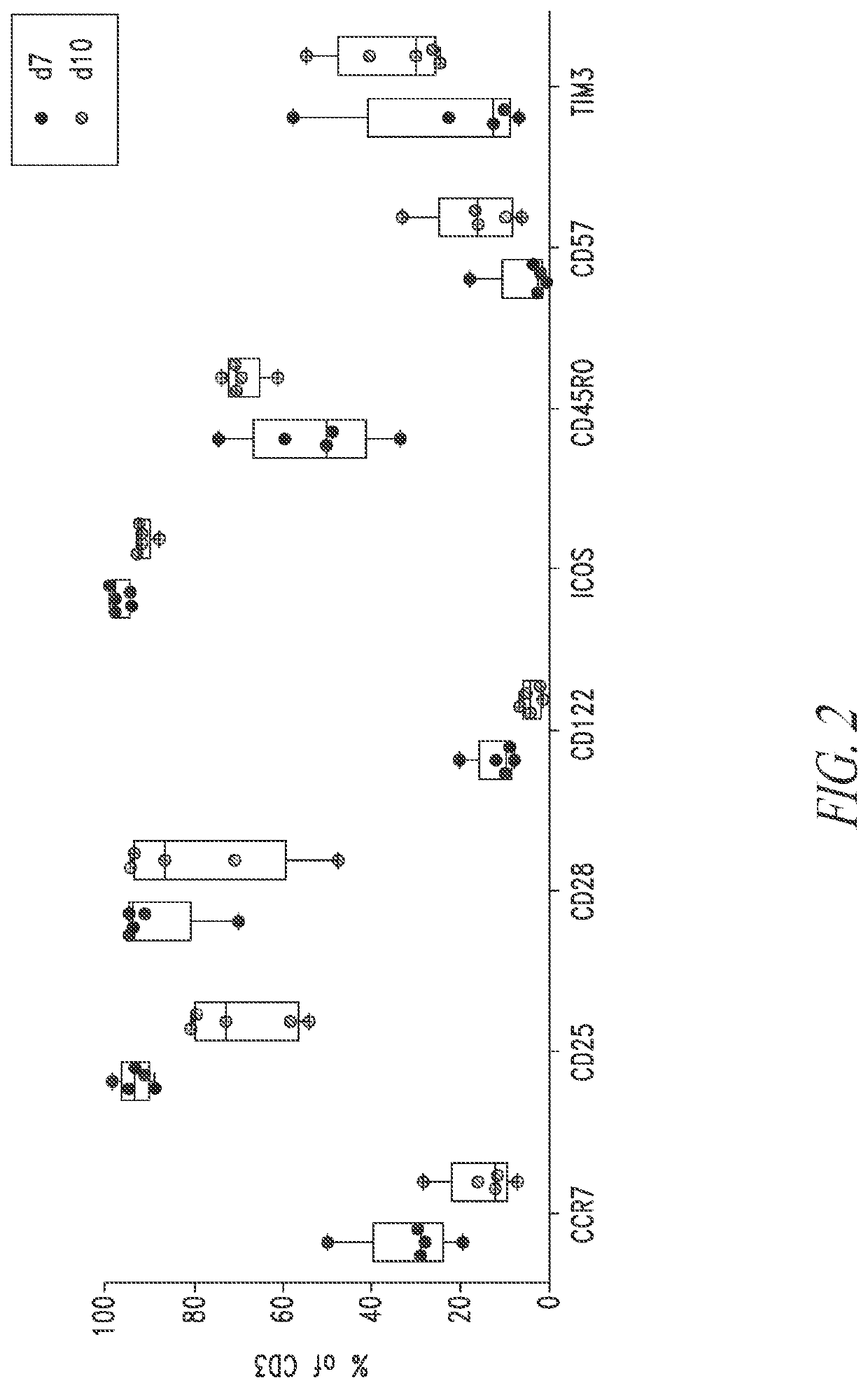 Manufacturing Anti-bcma car t cells