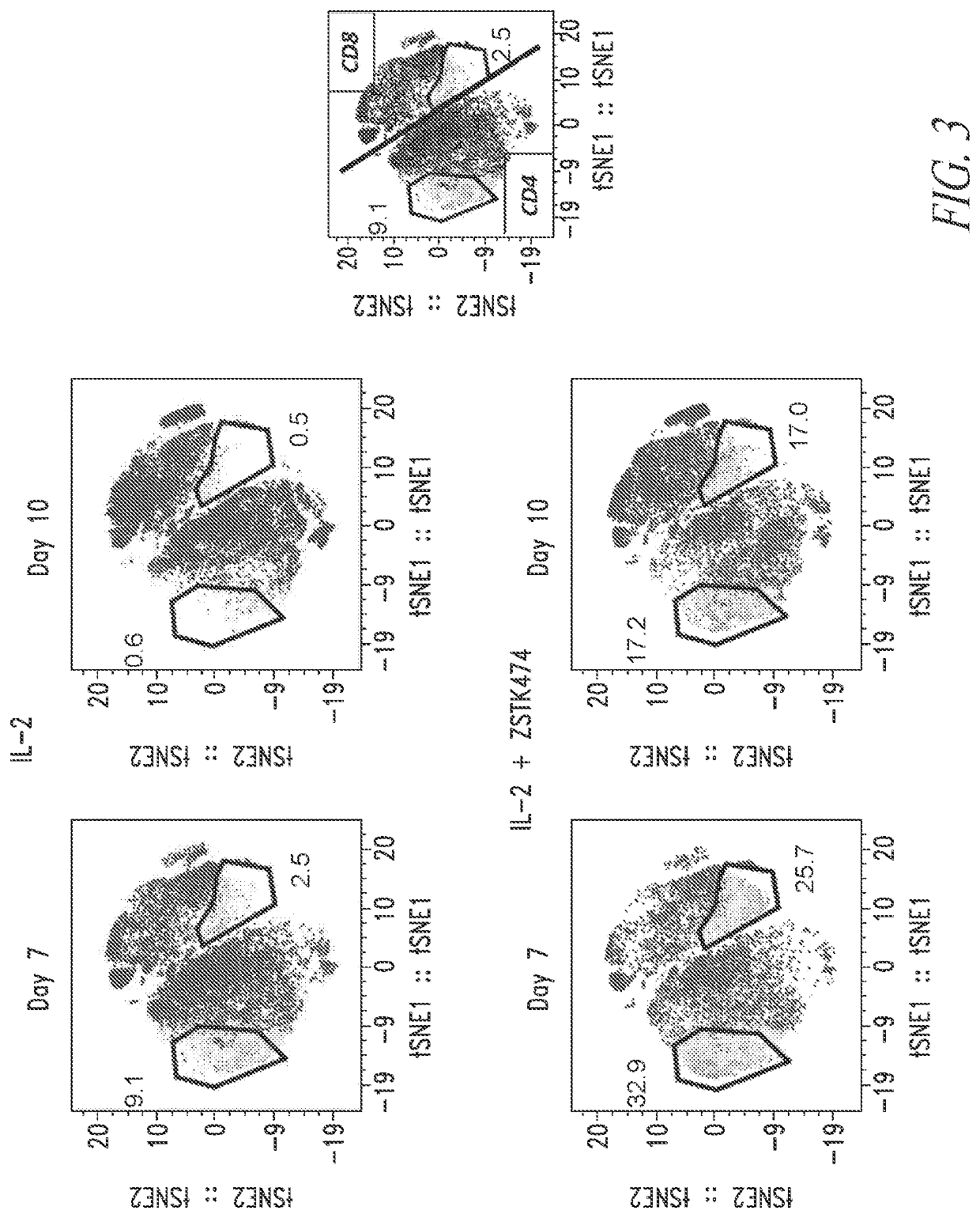 Manufacturing Anti-bcma car t cells