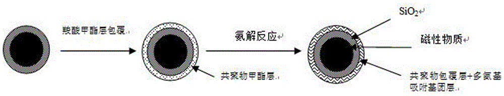 Magnetic solid polyamino adsorbent granular material, preparation method and application thereof