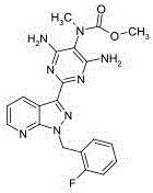 Riociguat orally disintegrating tablet and preparation method thereof