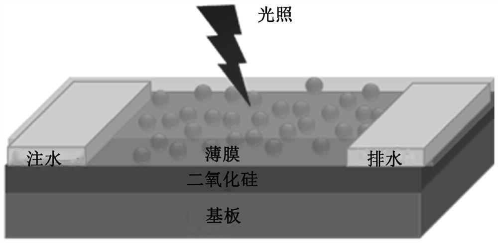 Hybrid phototransistor constructed by poly (3-hexylthiophene) and mercury telluride quantum dots and preparation method and application thereof