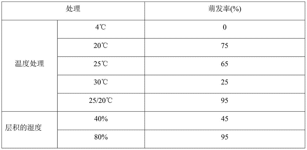 A kind of method for improving the germination rate of magnolia seeds