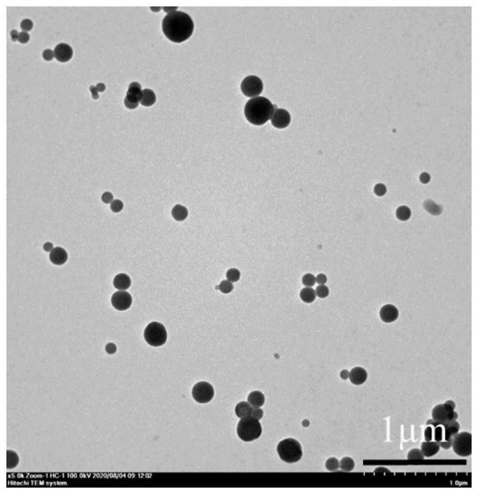 X-ray excited nano photosensitizer and preparation method thereof