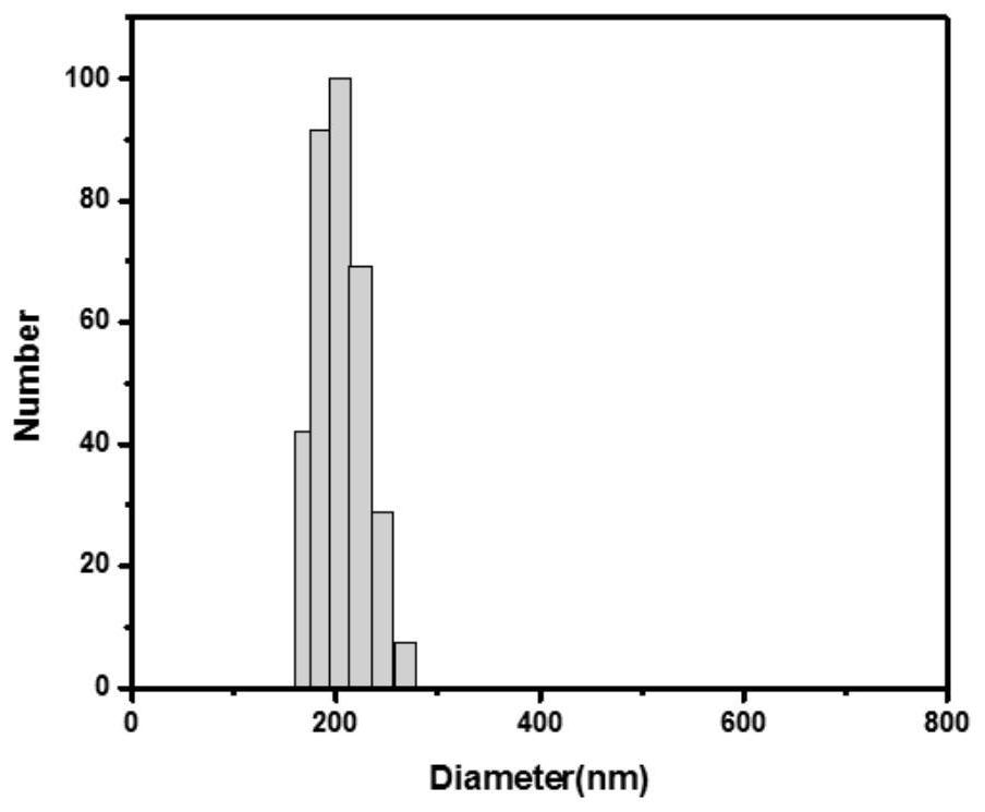 X-ray excited nano photosensitizer and preparation method thereof