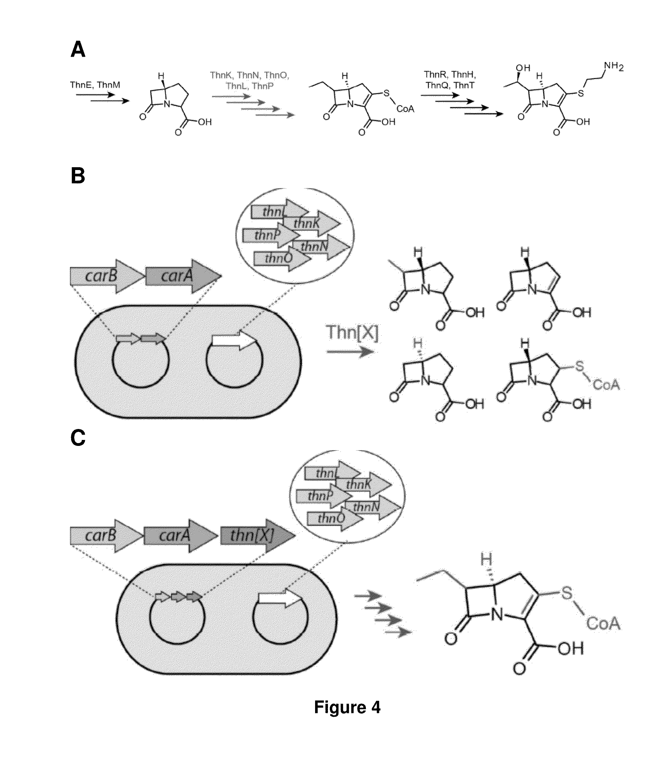 Growth Arrested Cells Useful for Producing Compounds