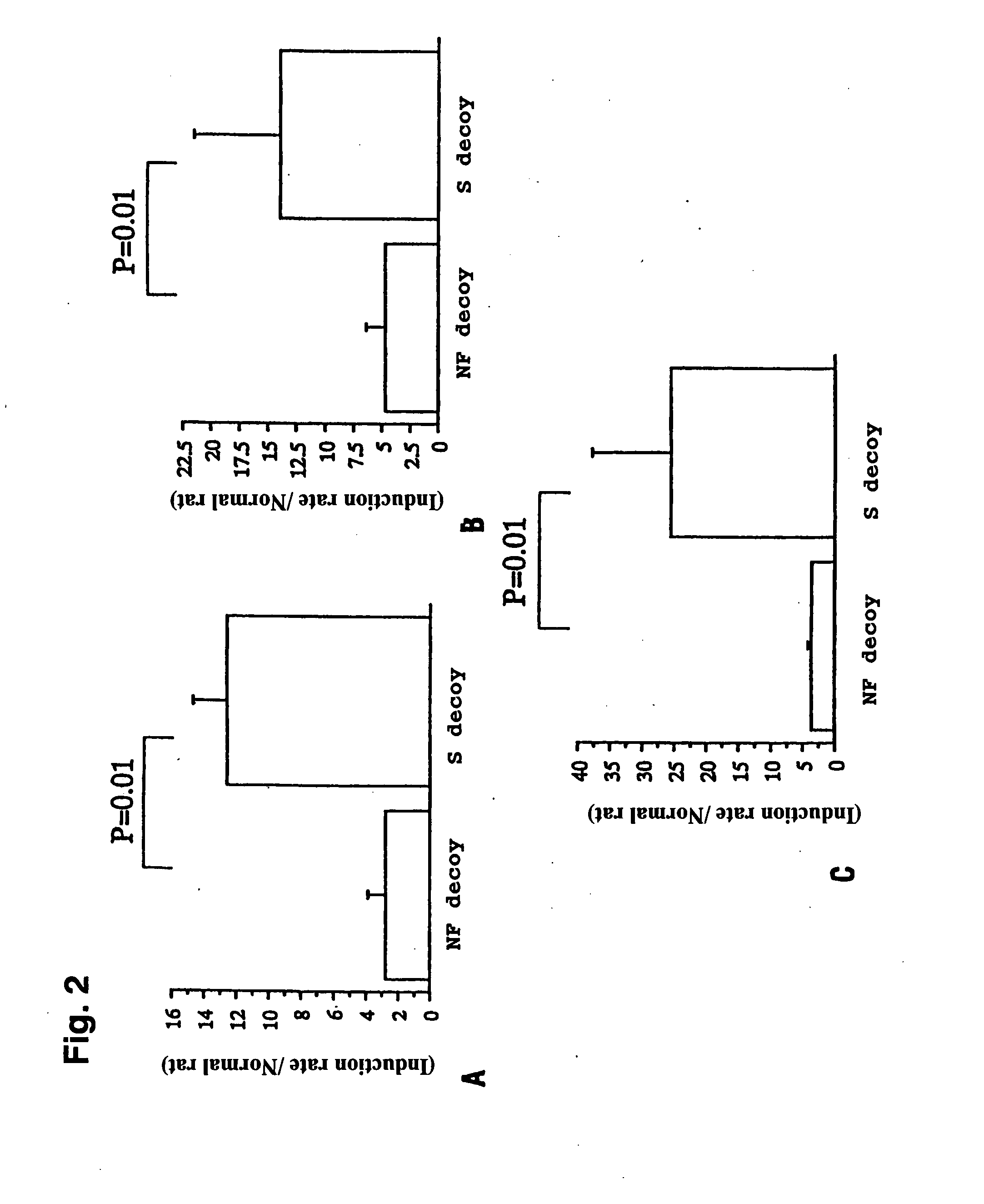 Decoy compositions for treating and preventing brain diseases and disorders