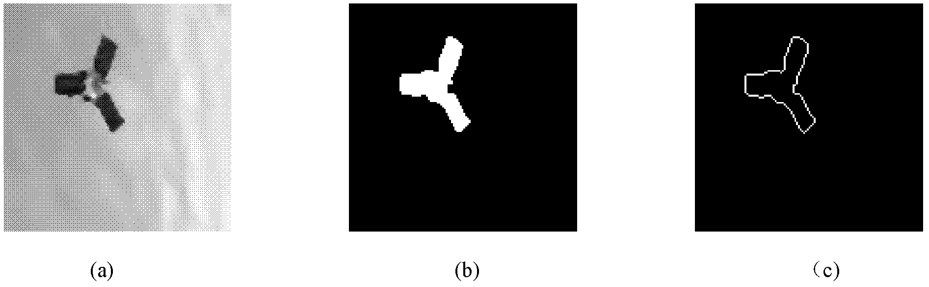 An object segmentation method based on prior shape and cv model