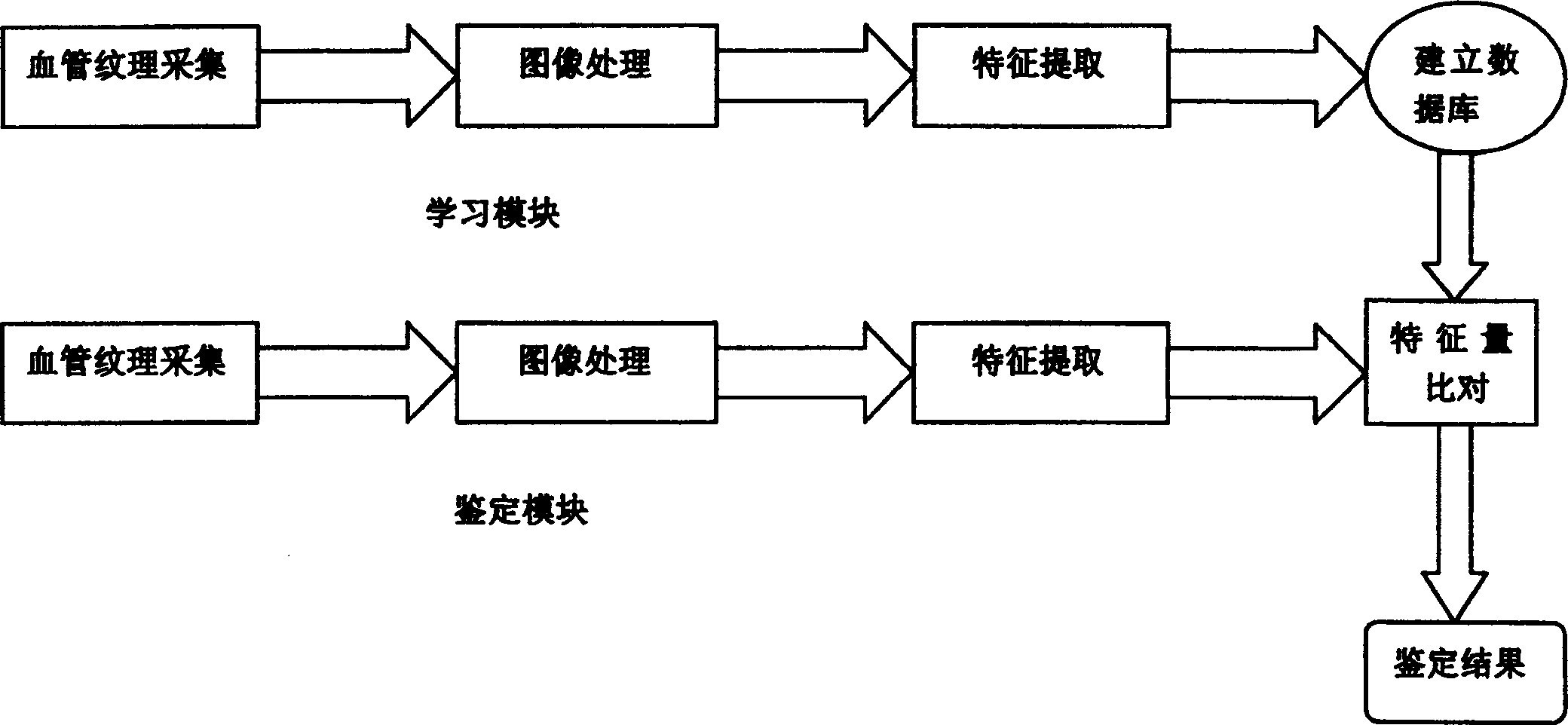 Blood vessel identifying method