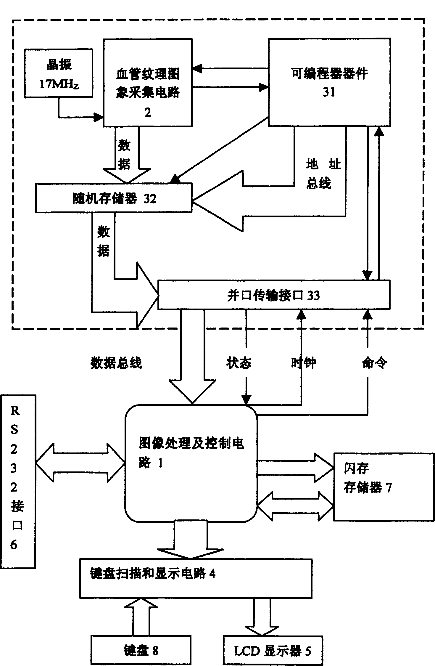 Blood vessel identifying method