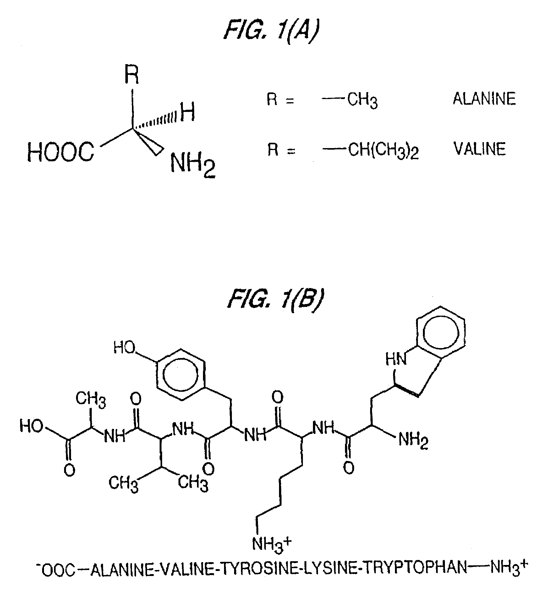 Methods for the detection, analysis and isolation of nascent proteins