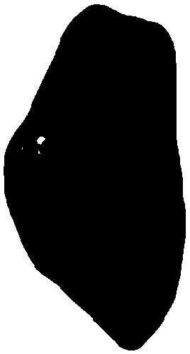 Environment-friendly elver puffed floating granular compound feed and preparation method of same