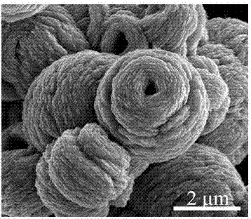 Zinc oxide microspheres and preparation method thereof