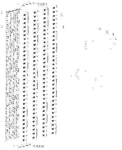 High-light-permeable raster display module group and manufacturing progress of the same