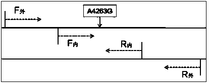 Kit for detecting mitochondria DNA A4263G related to hypertension and application