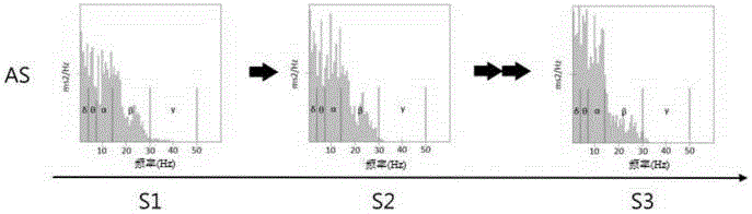 Biological feedback system and operation method thereof