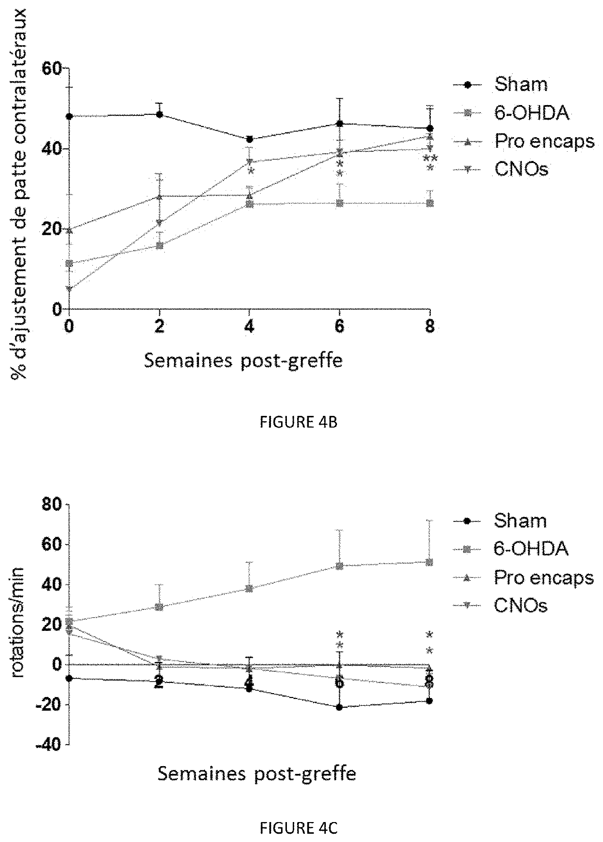 Neural tissue unit and use of such a unit for implantation into the nervous system of a mammal