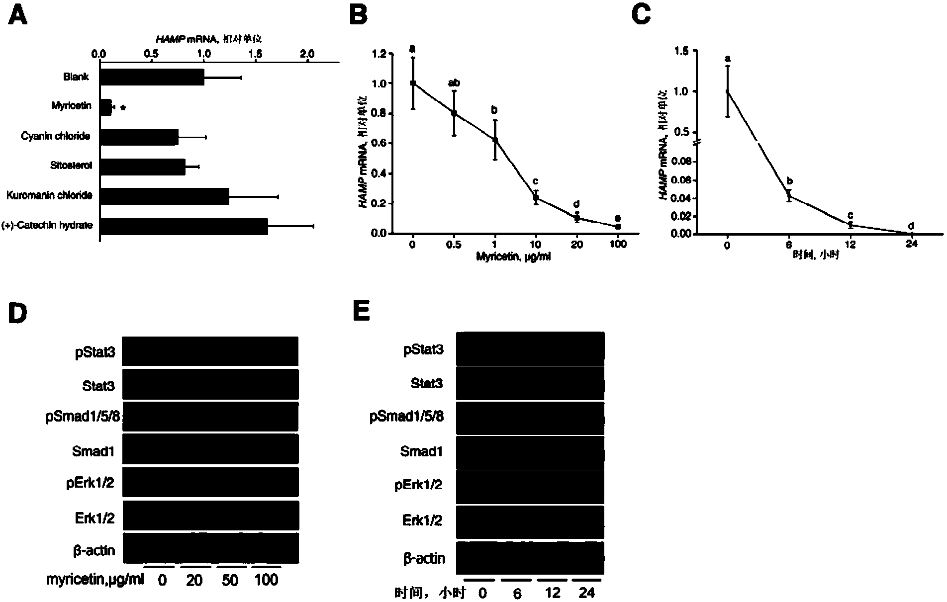 Application of myricetin in preparing preparation for inhibiting hepcidin expression