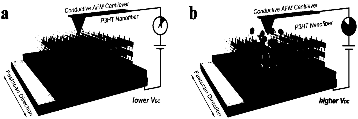 Method for constructing conjugated polymer nano-conductive pattern by scanning probe