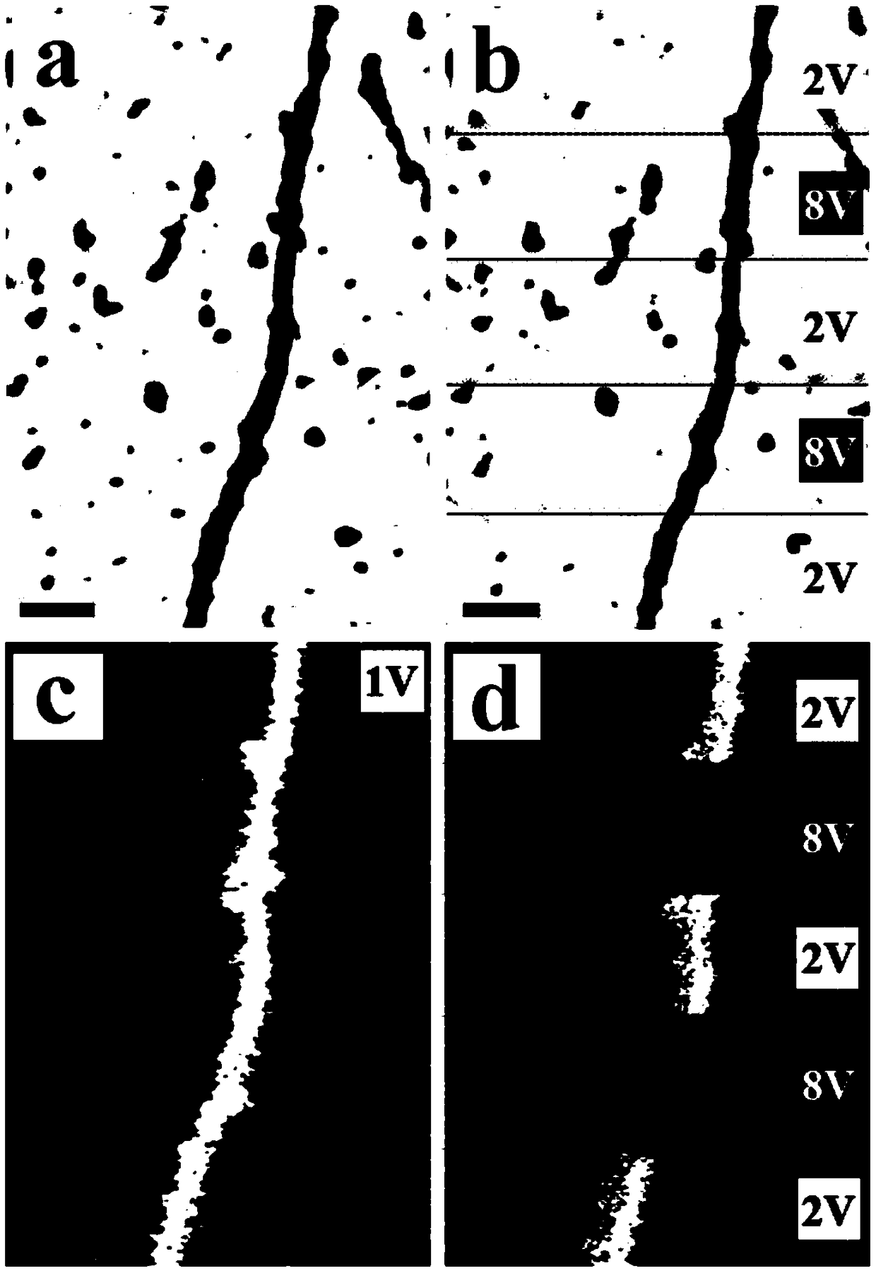 Method for constructing conjugated polymer nano-conductive pattern by scanning probe