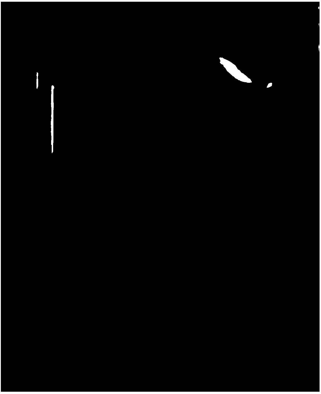 Wood fiber reinforced polyvinyl chloride imitation solid wood cabinet door panel and manufacturing method thereof