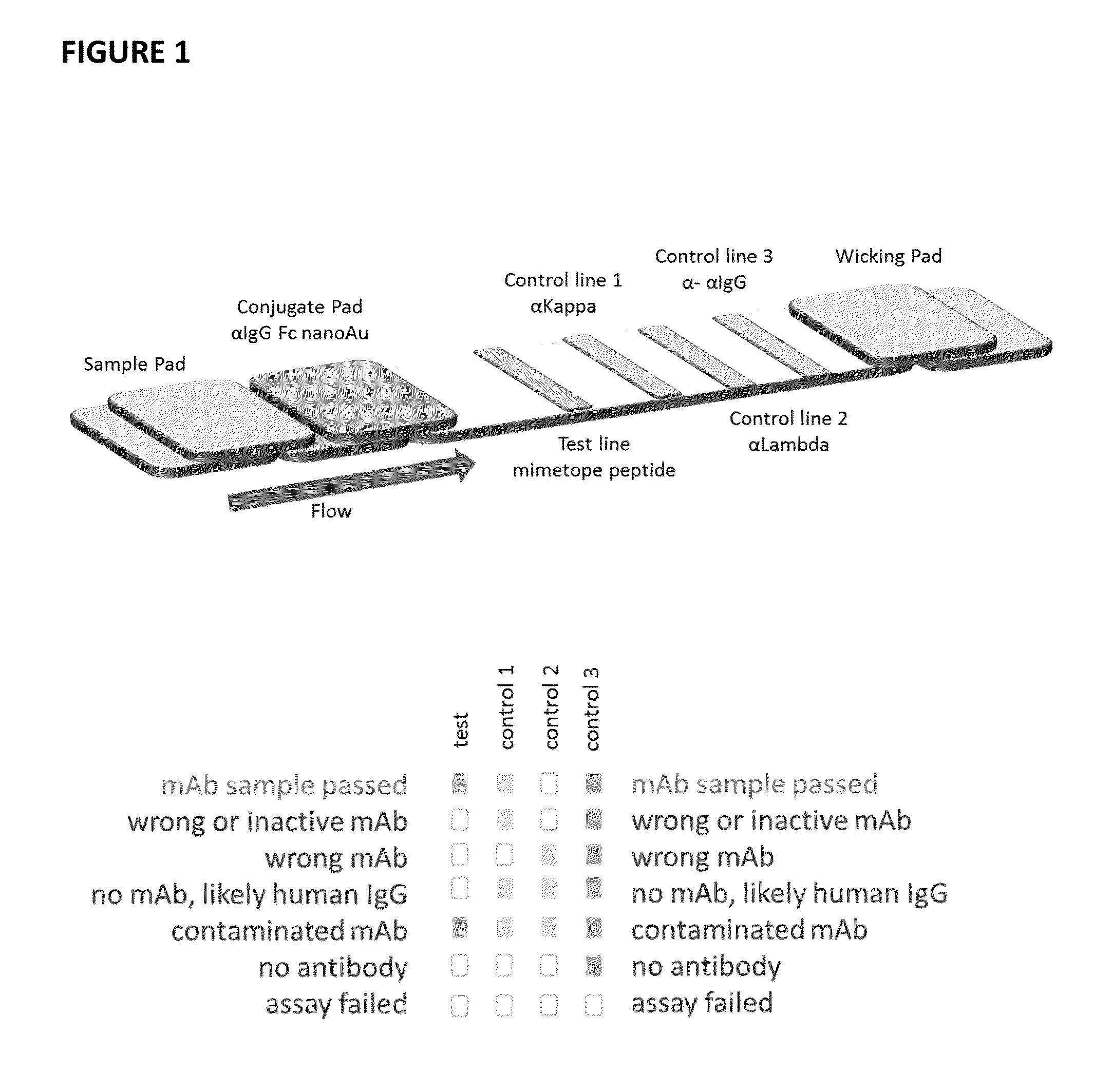 Lateral flow immunoassay