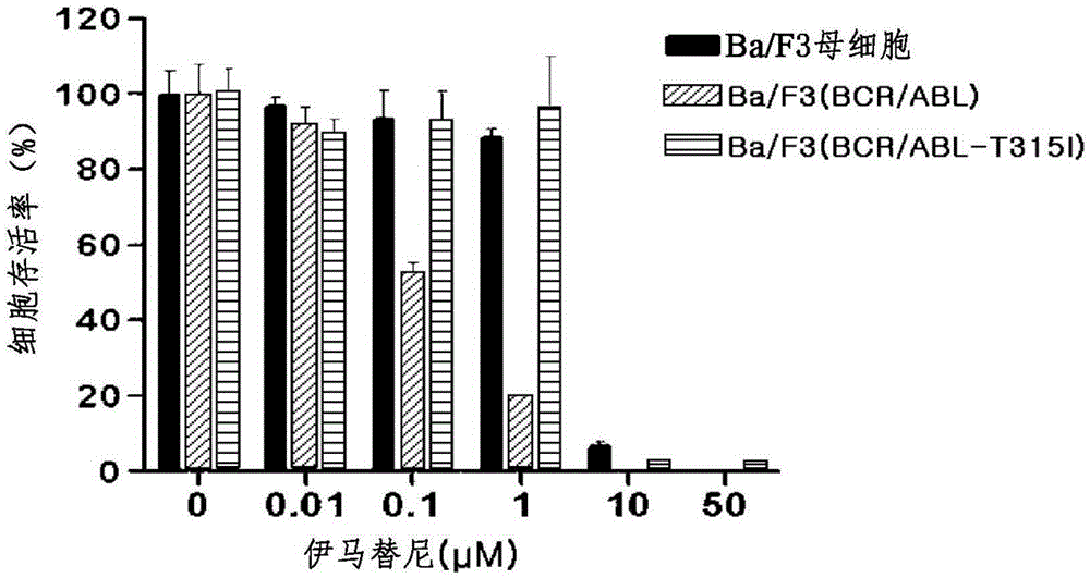 Pharmaceutical composition containing liriodendron tulipifera l. extract for treating chronic myelogenous leukemia