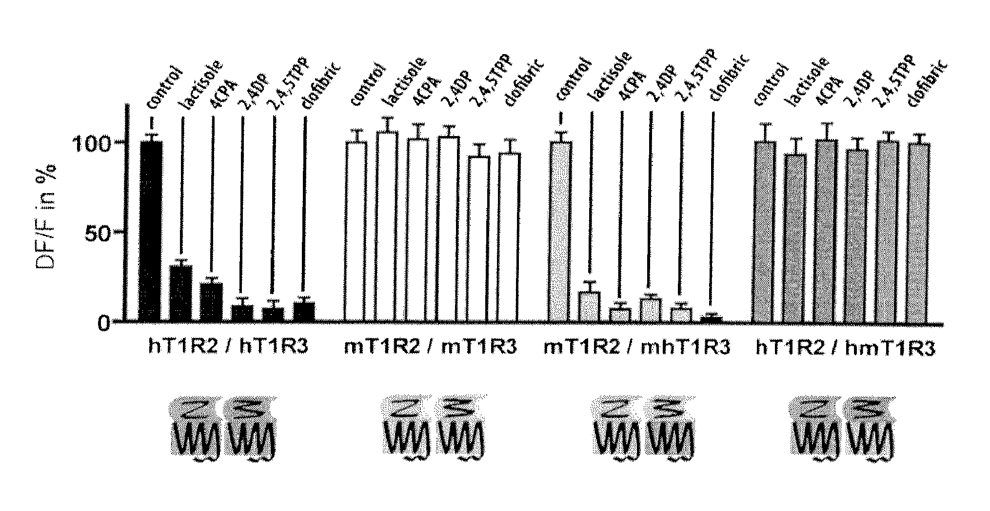 Human type i taste receptor subunit 3 modulators and methods of using same