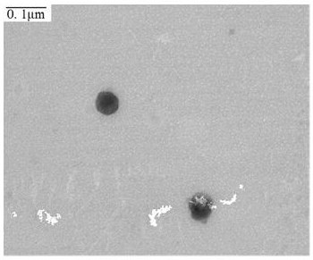 Buprenorphine transdermal solution as well as preparation method and application thereof