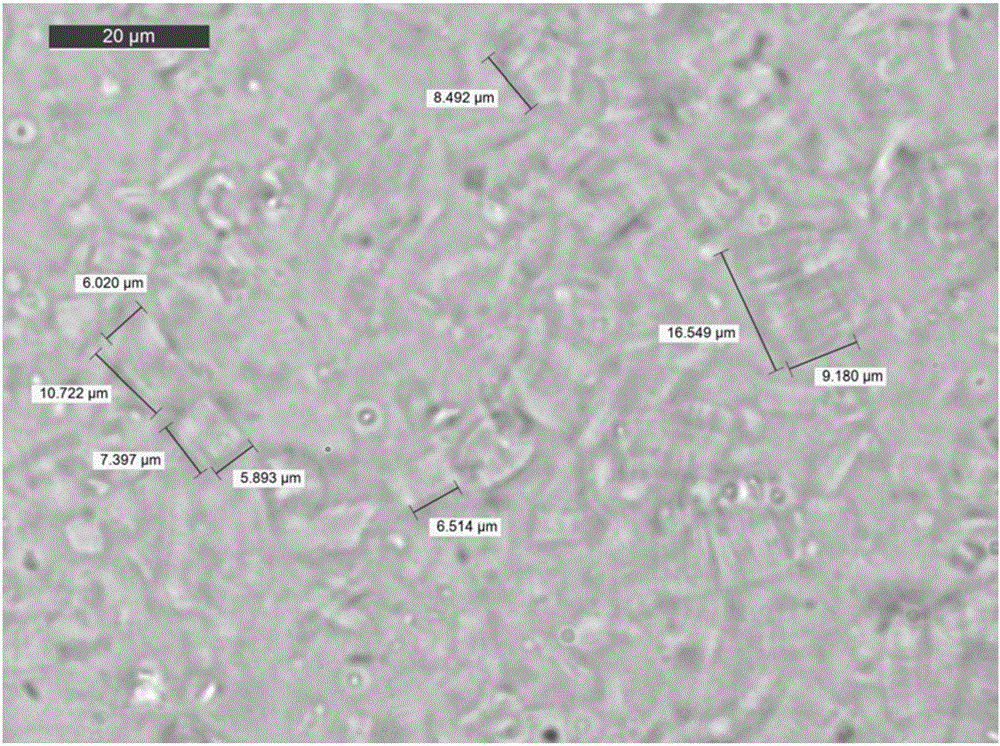 Preparing method of oxidized graphene and high-conductivity graphene