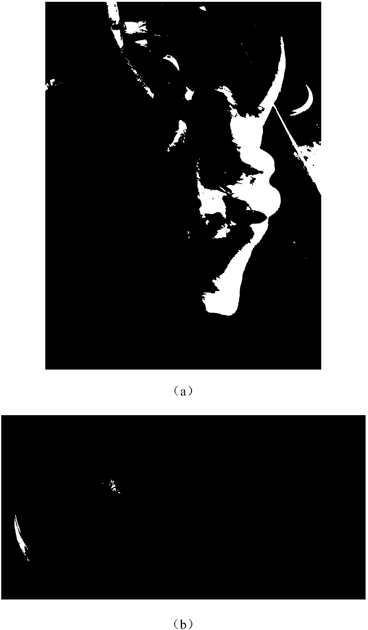 Photocurable 3D printing material as well as preparation method and application thereof